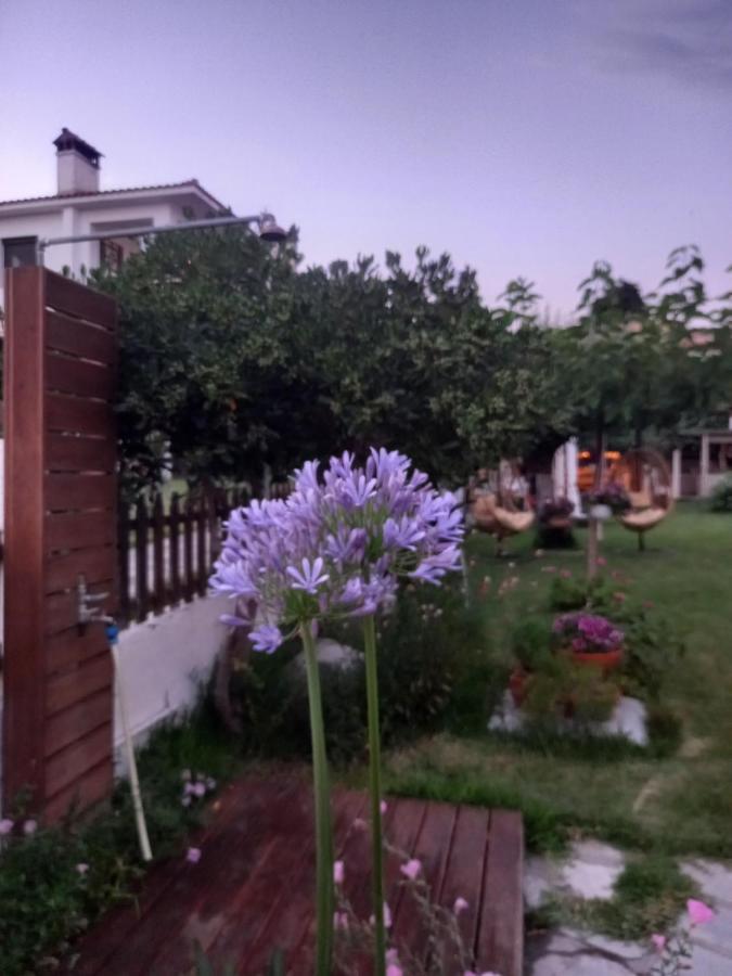 Traditional Arsanas Apartments Никити Экстерьер фото